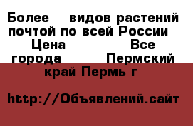 Более200 видов растений почтой по всей России › Цена ­ 100-500 - Все города  »    . Пермский край,Пермь г.